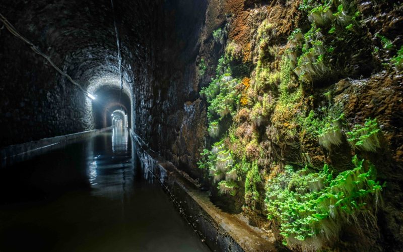 Muzeum Górnictwa Węglowego w Zabrzu